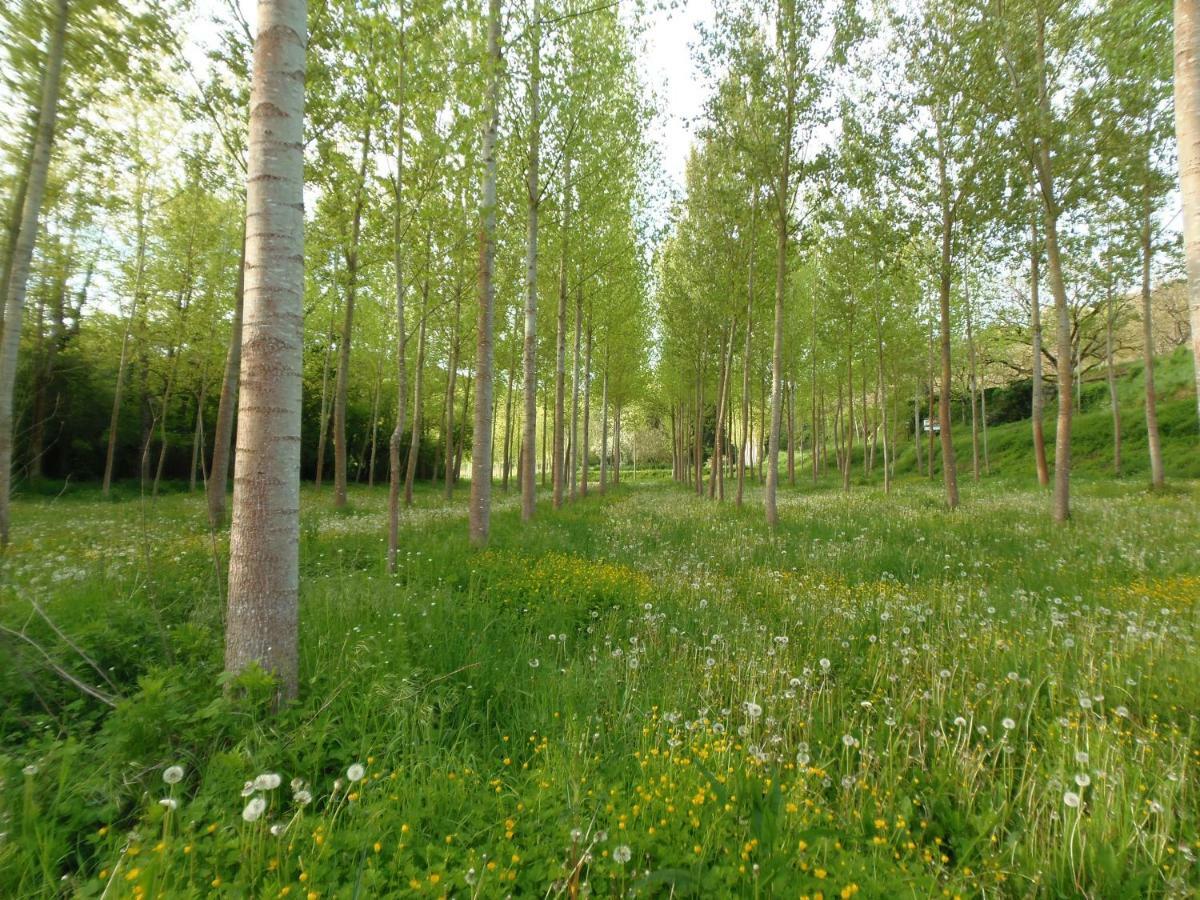 Allas-Les-Mines La Chabotine B&B 외부 사진
